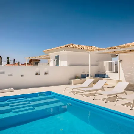 Camelia-iris Sunset *