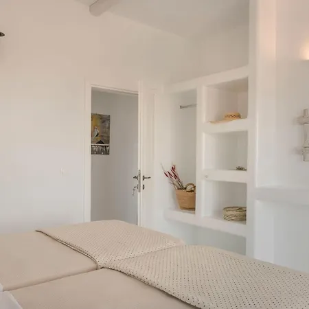 Camelia-iris Sunset Lépedha